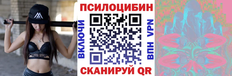 Псилоцибиновые грибы Psilocybine cubensis  купить закладку  Трубчевск 